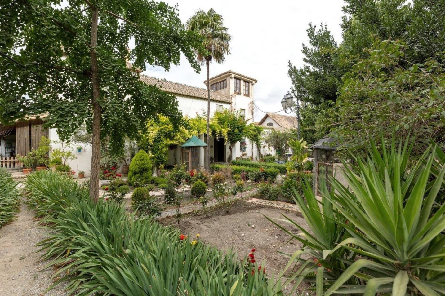  for sale building Ronda Vega De Granada 6