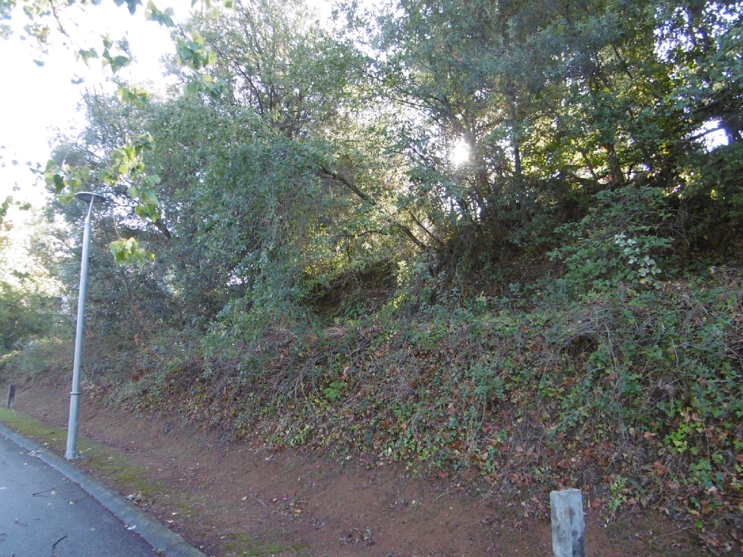  en venta local comercial Arbúcies Selva 3