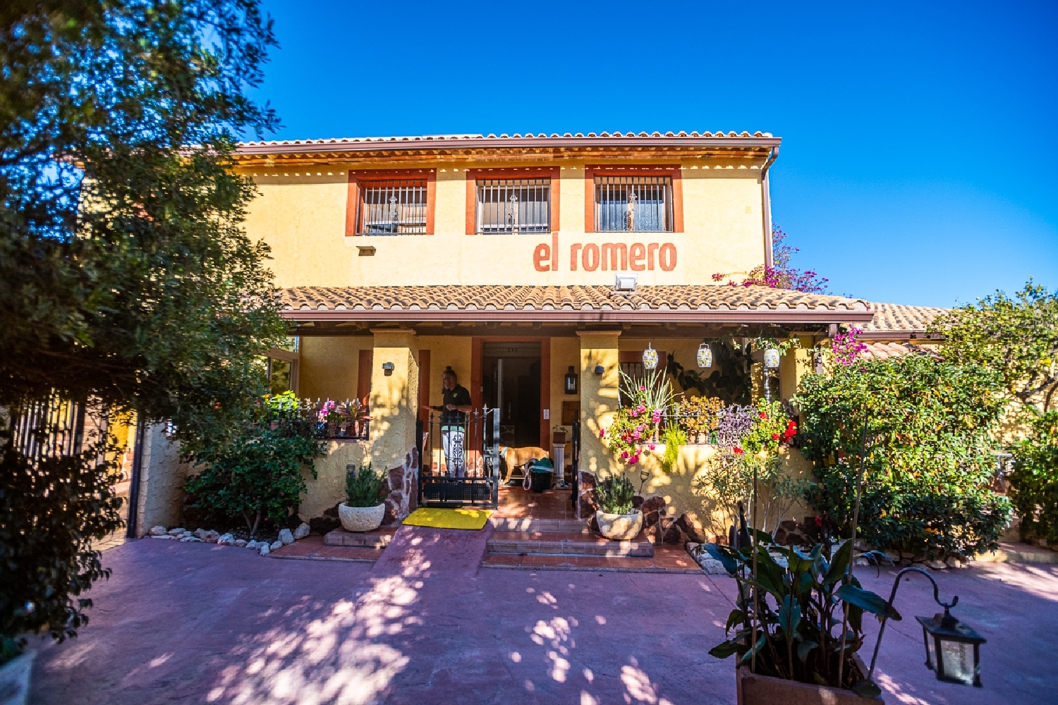  à vendre commerce Hondón De Las Nieves Vinalopó Mitjà 5