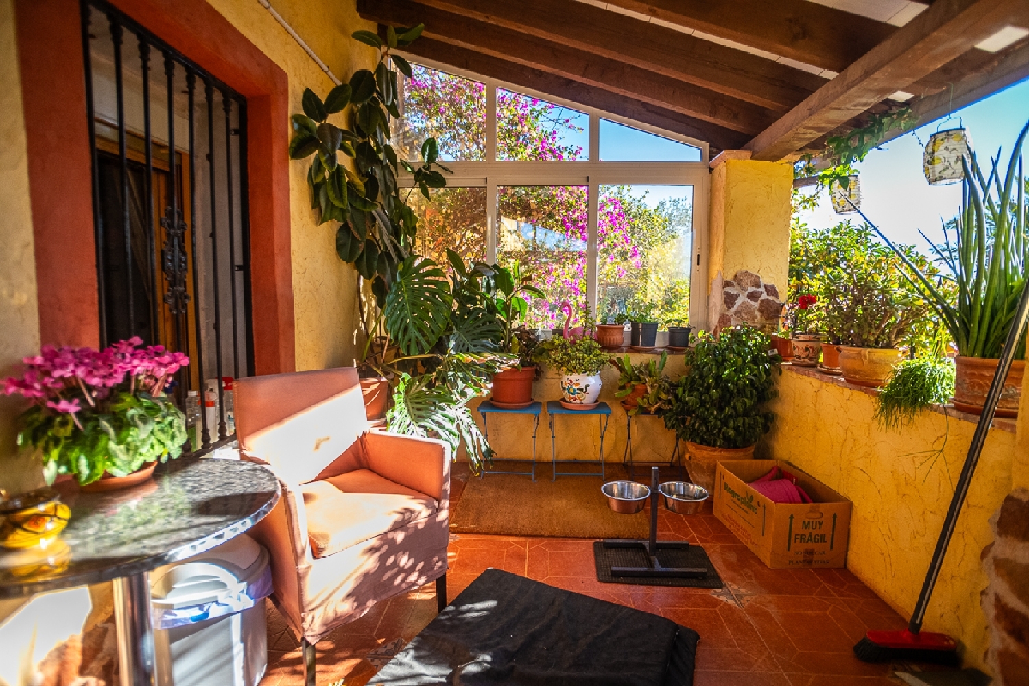  à vendre commerce Hondón De Las Nieves Vinalopó Mitjà 8