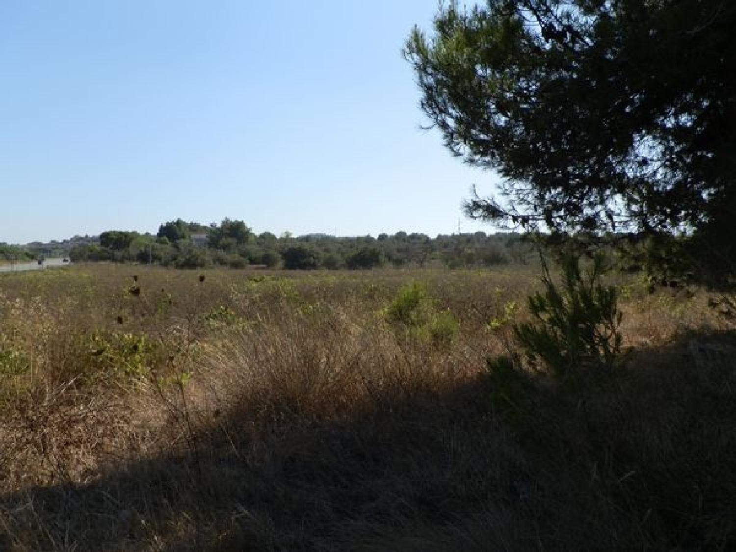 à vendre commerce Teulada Marina Alta 2