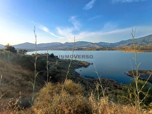 Viñuela Axarquía commerce foto 6281711