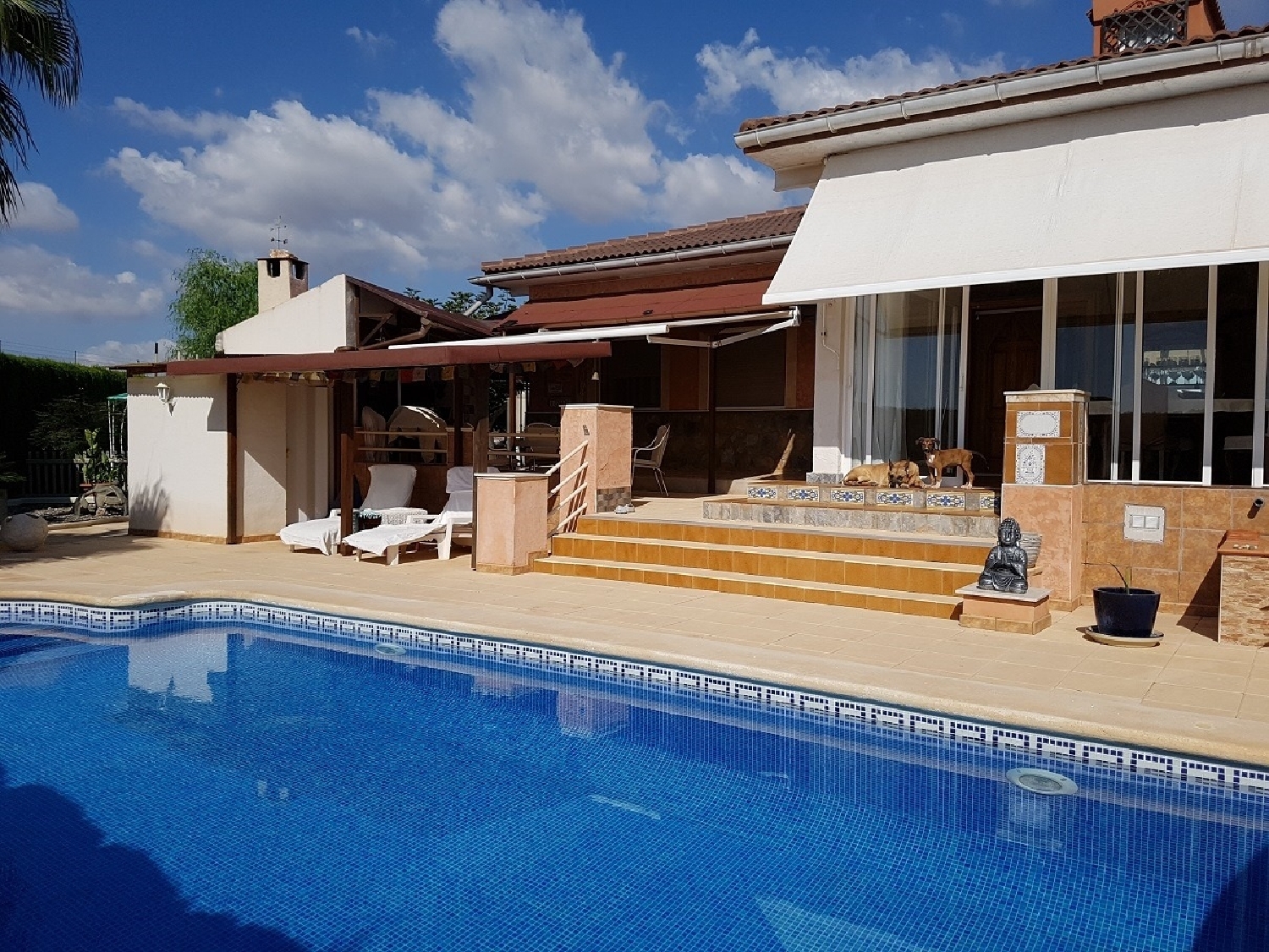  à vendre maison de campagne Albatera Baix Segura 1