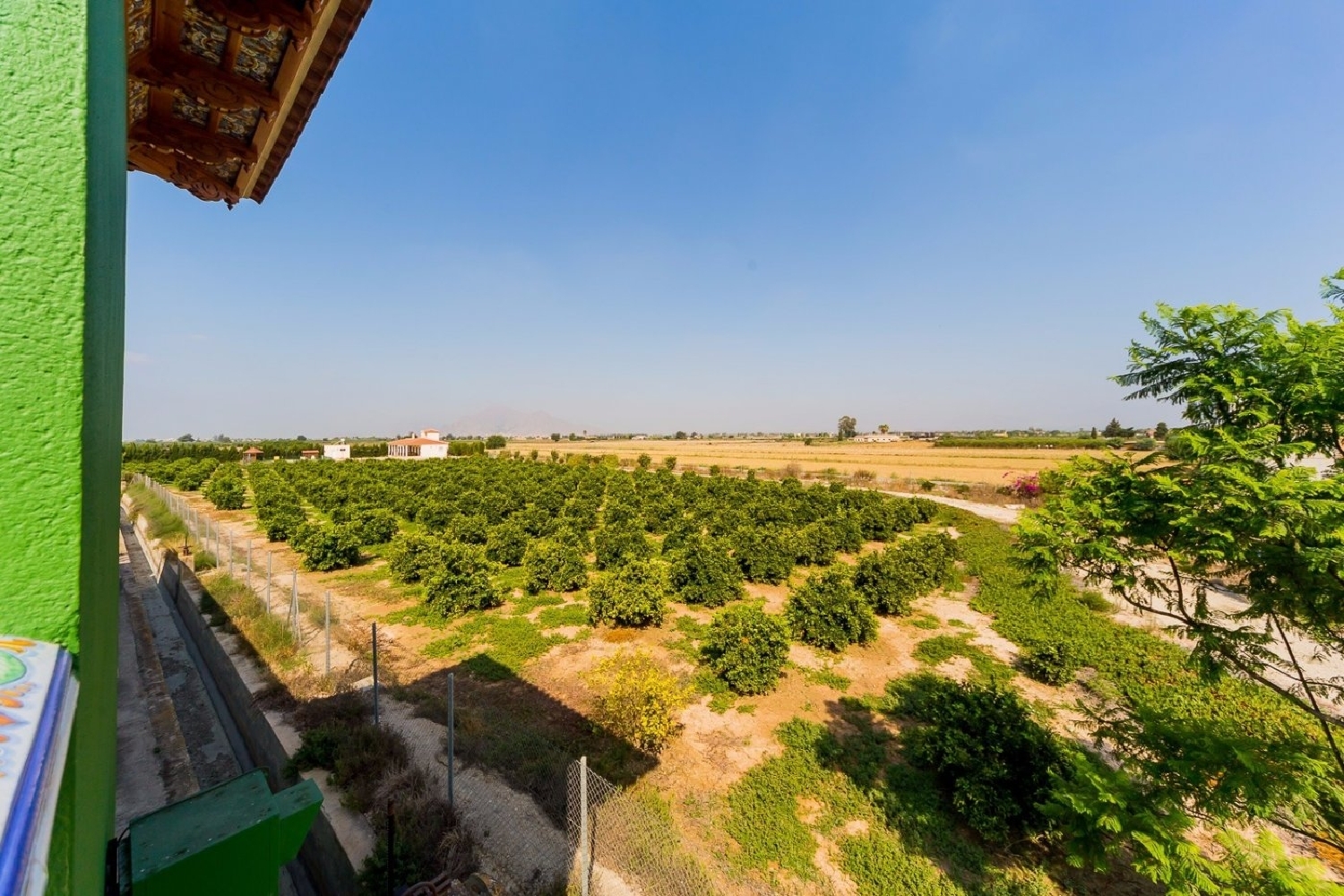 te koop boerderij Almoradí Baix Segura 2