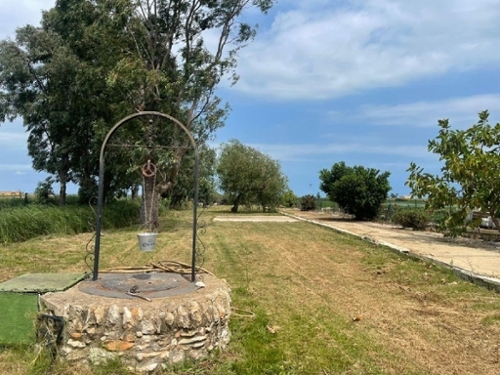 Amposta Montsià country house foto 6279071