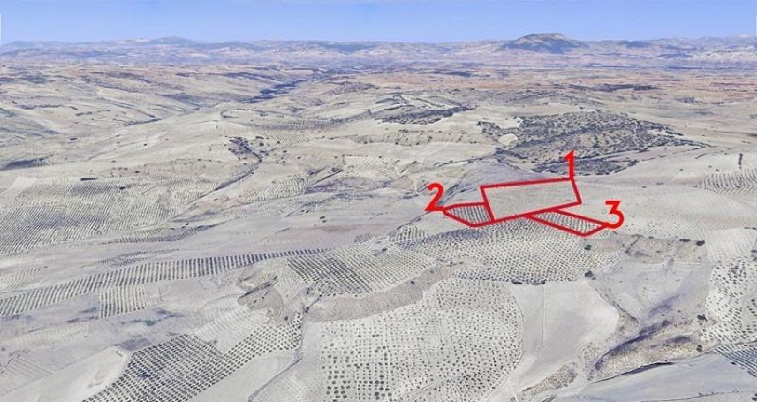  kaufen Landhaus Arenas Del Rey Alhama 8