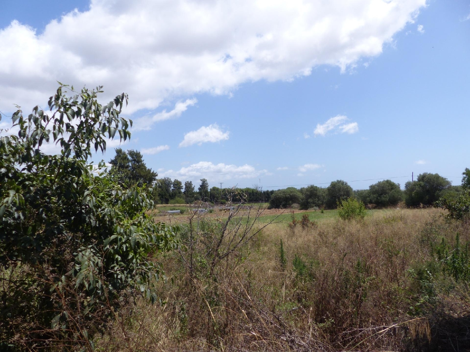  for sale country house Barriada Les Tres Creus Bages 4