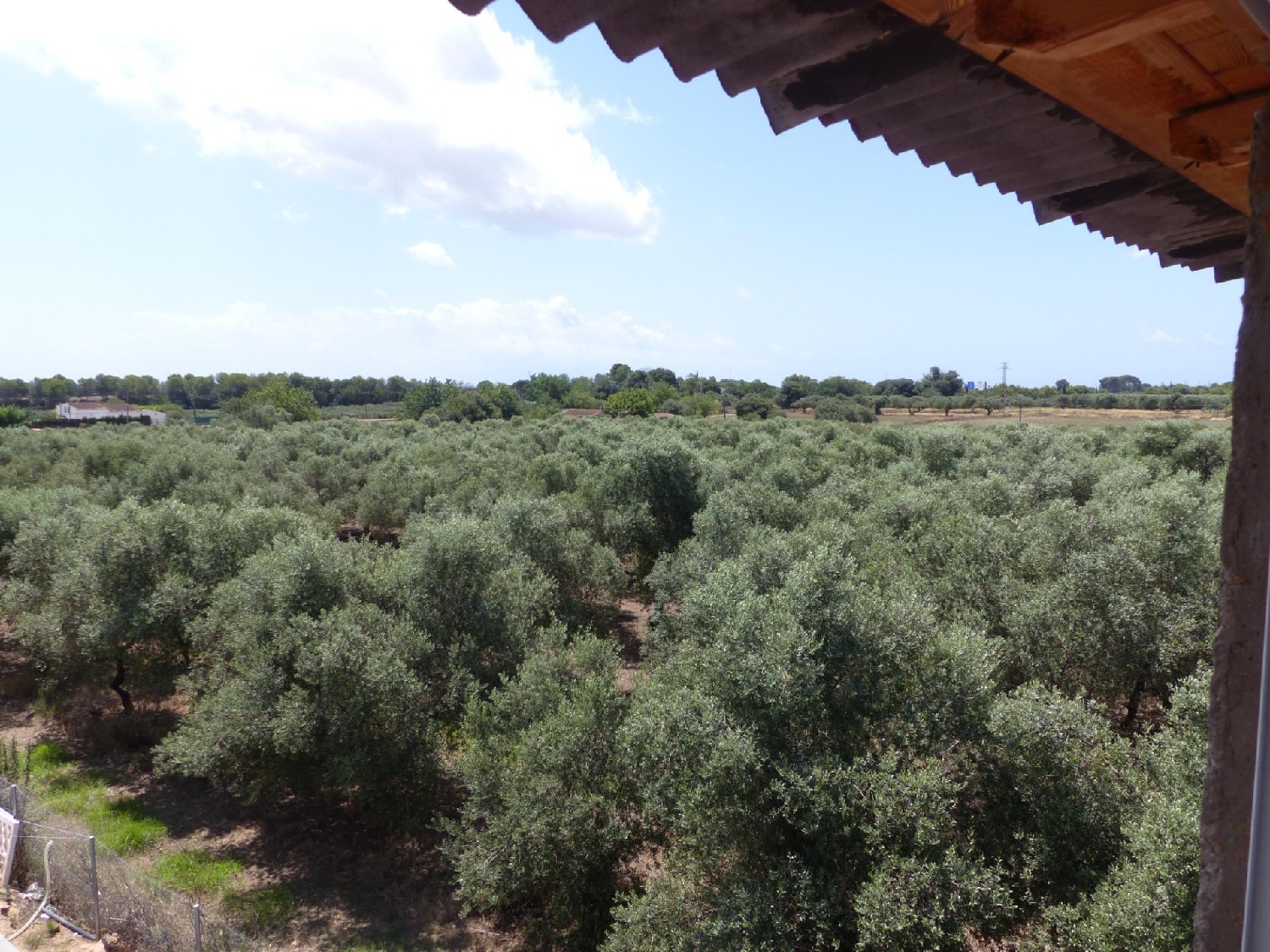  for sale country house Barriada Les Tres Creus Bages 2
