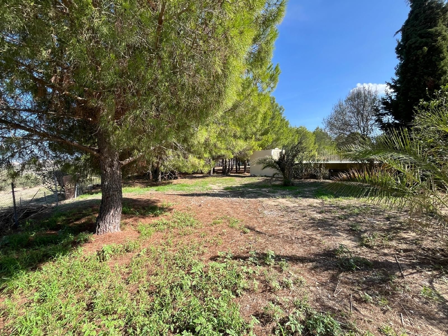  à vendre maison de campagne Benissa Marina Alta 10