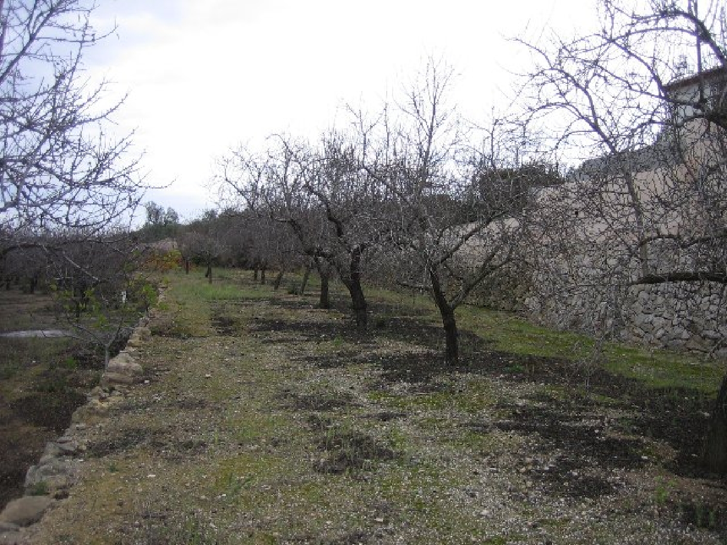 te koop boerderij Benissa Marina Alta 3
