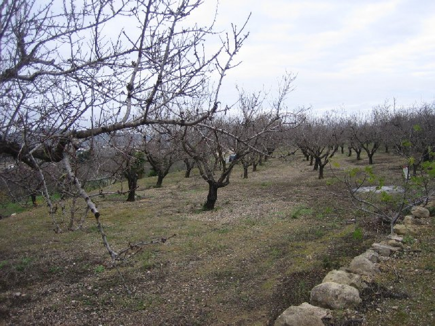  te koop boerderij Benissa Marina Alta 4