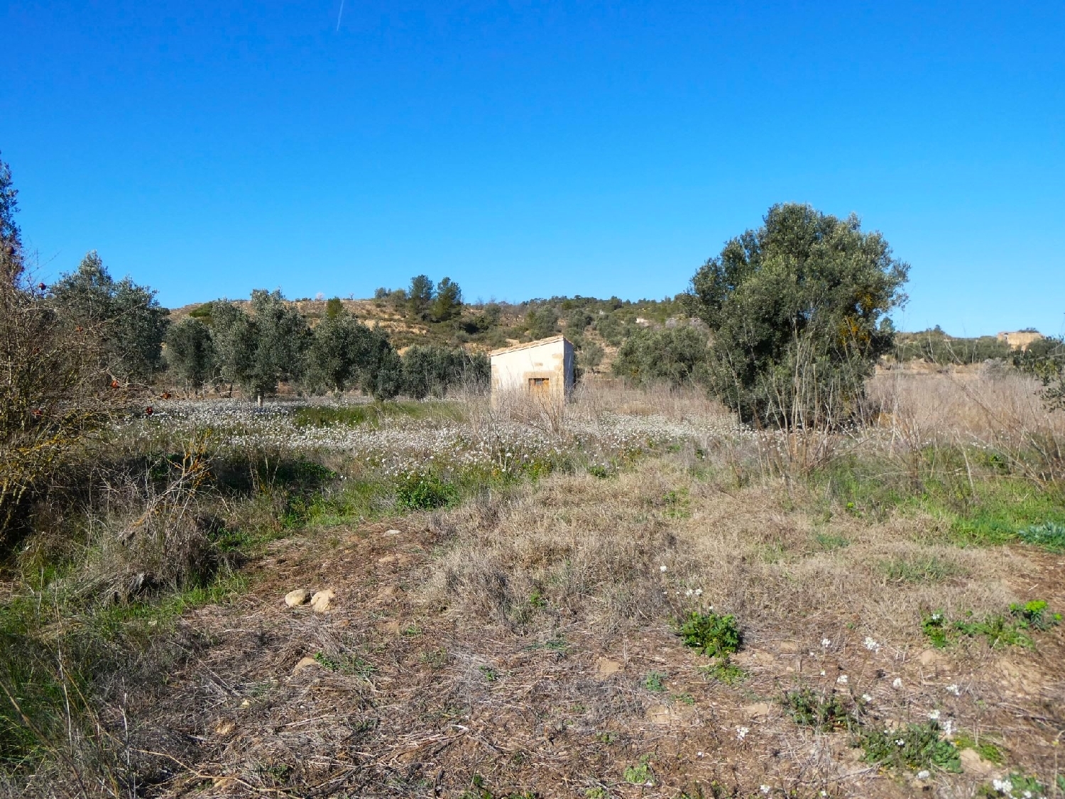  à vendre maison de campagne Calaceite Matarraña 5