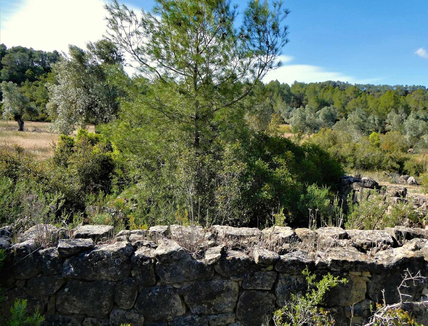  à vendre maison de campagne Calaceite Matarraña 1