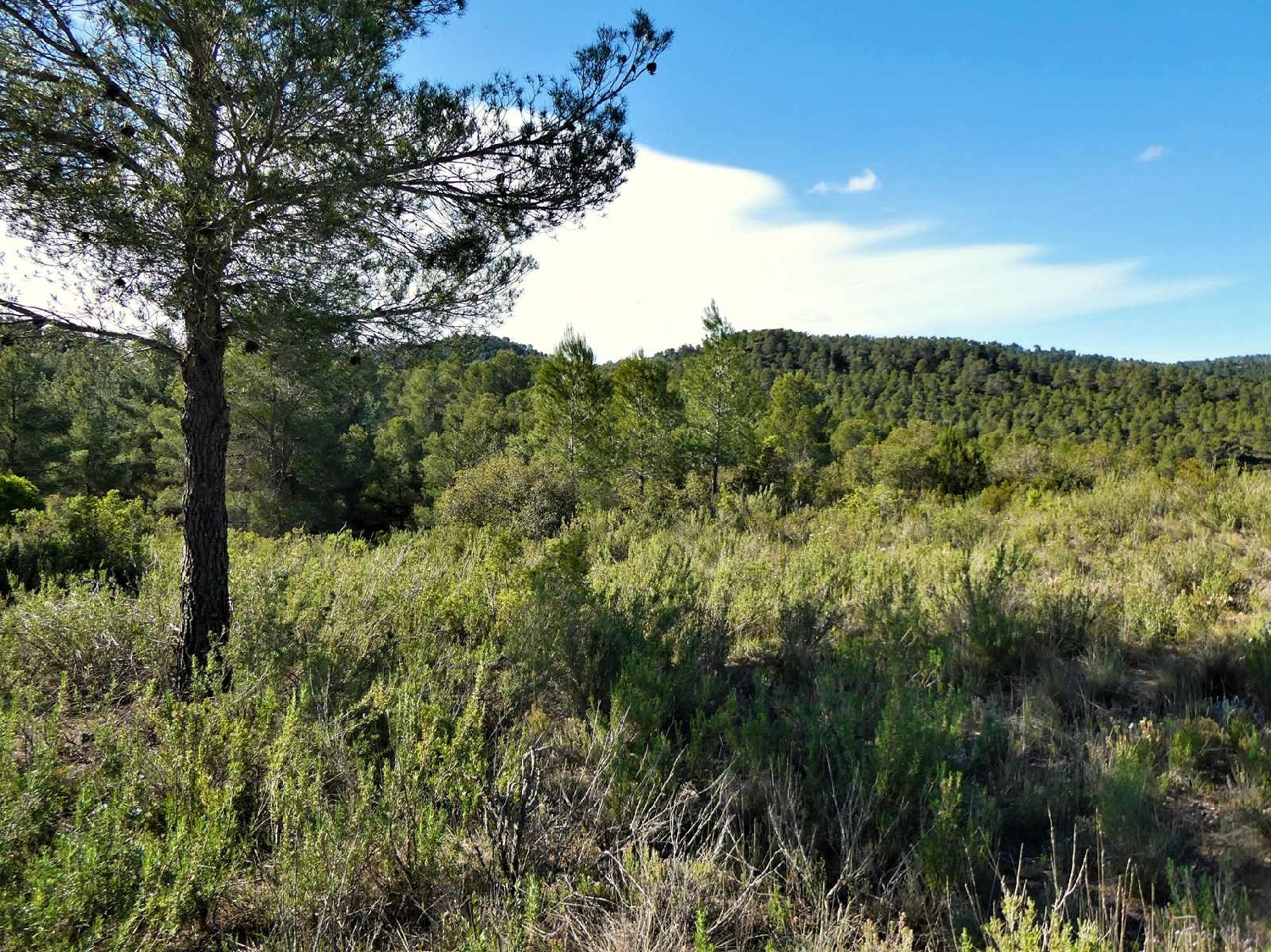  à vendre maison de campagne Calaceite Matarraña 9