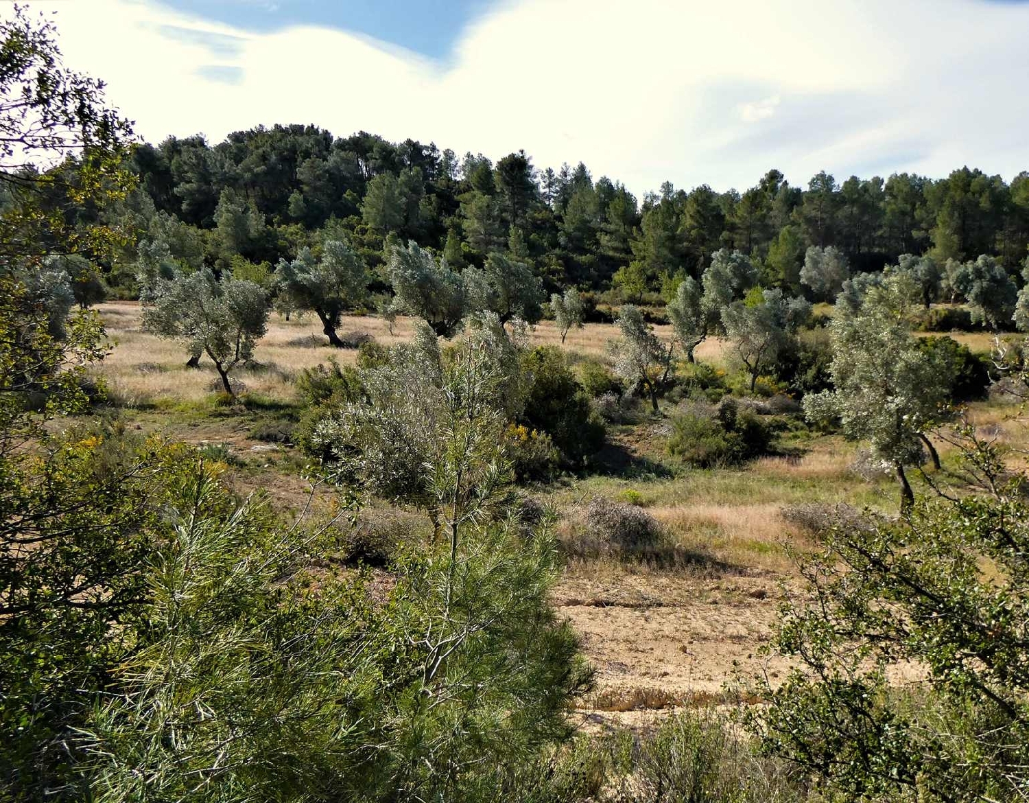  à vendre maison de campagne Calaceite Matarraña 15