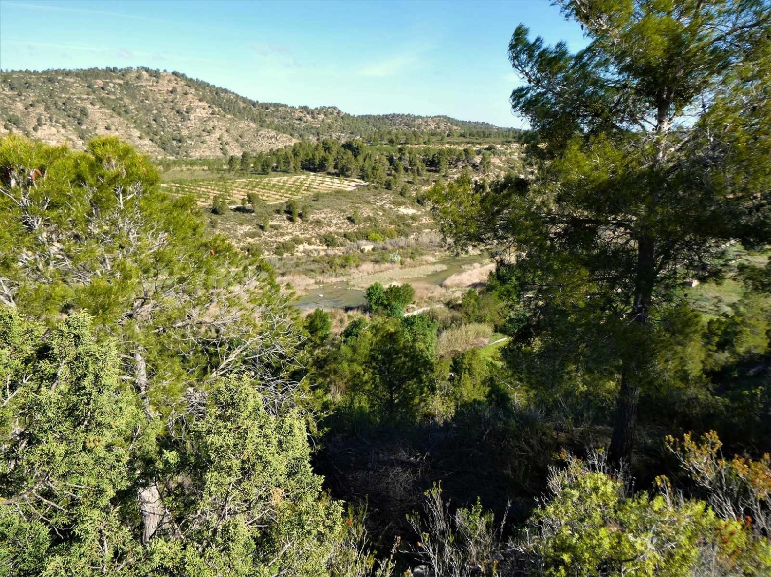  à vendre maison de campagne Calaceite Matarraña 10