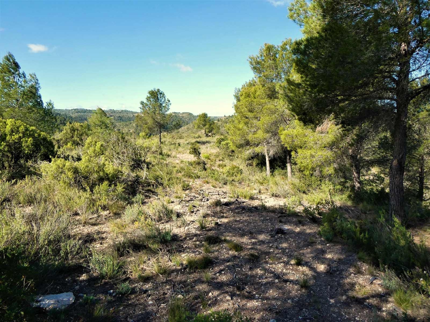  à vendre maison de campagne Calaceite Matarraña 8