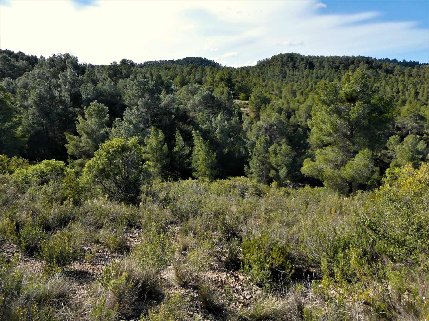  à vendre maison de campagne Calaceite Matarraña 12