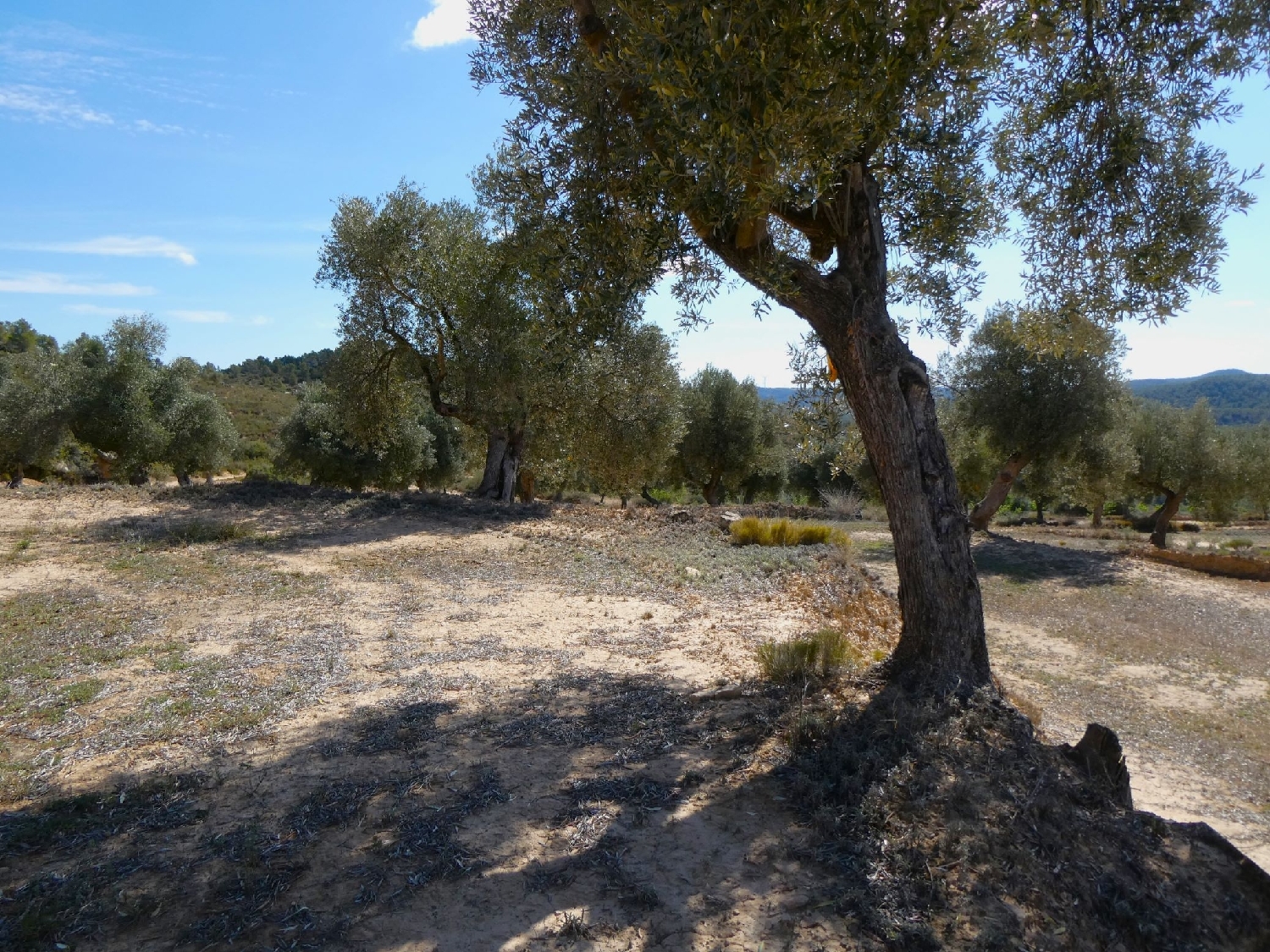  à vendre maison de campagne Calaceite Matarraña 13