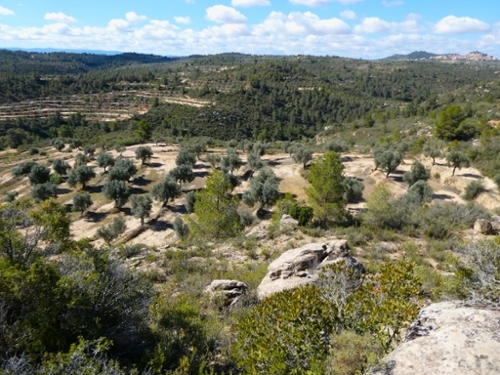 Calaceite Matarraña Landhaus Bild 6271192