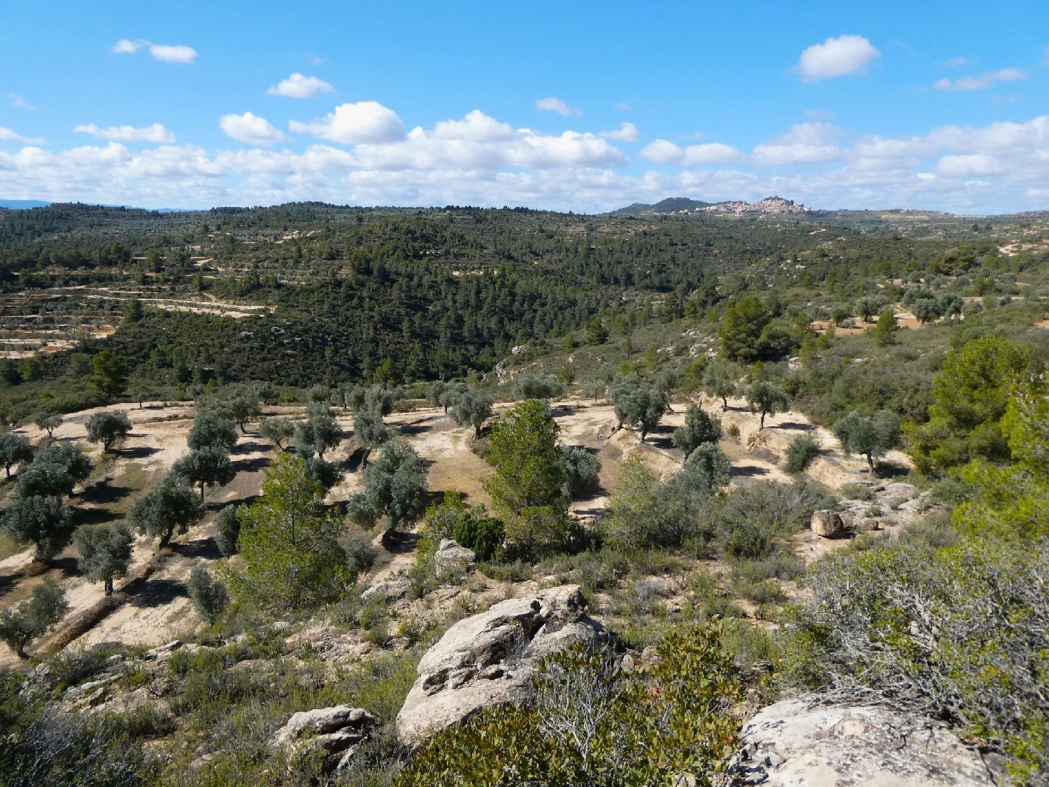  à vendre maison de campagne Calaceite Matarraña 5