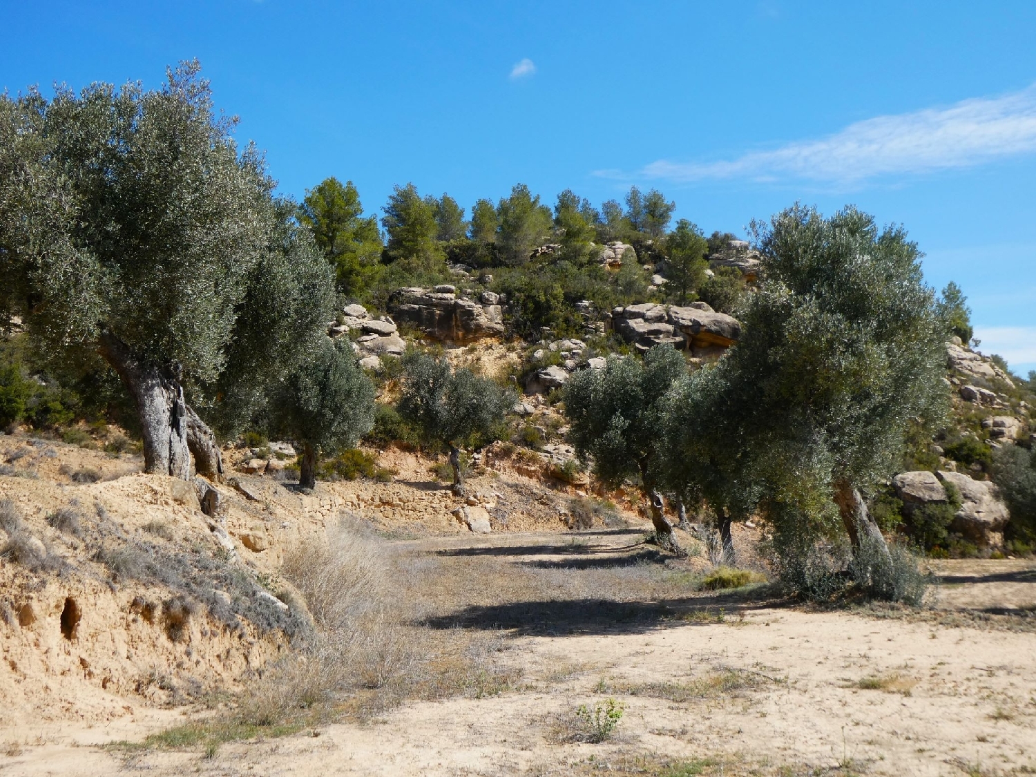  à vendre maison de campagne Calaceite Matarraña 12
