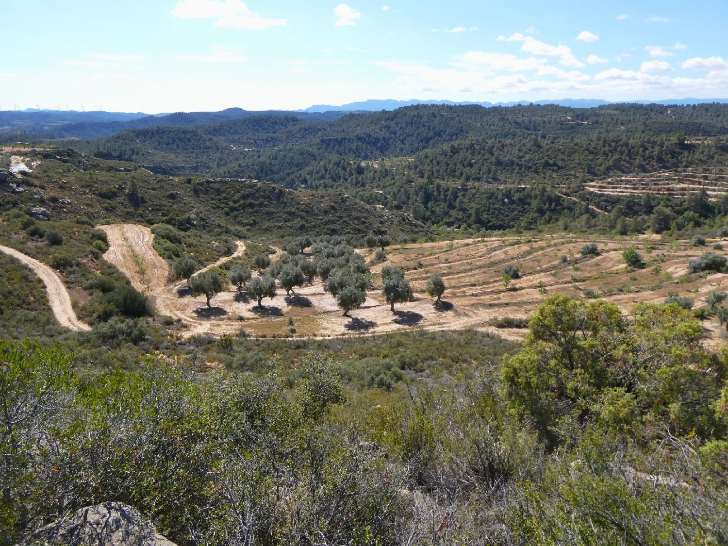  à vendre maison de campagne Calaceite Matarraña 3