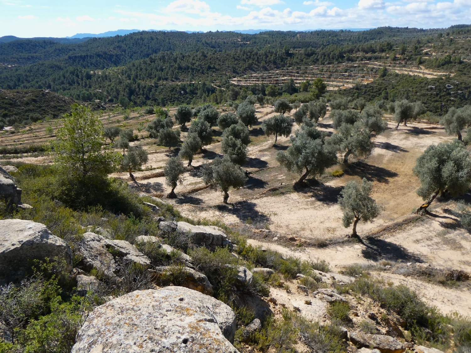  à vendre maison de campagne Calaceite Matarraña 8