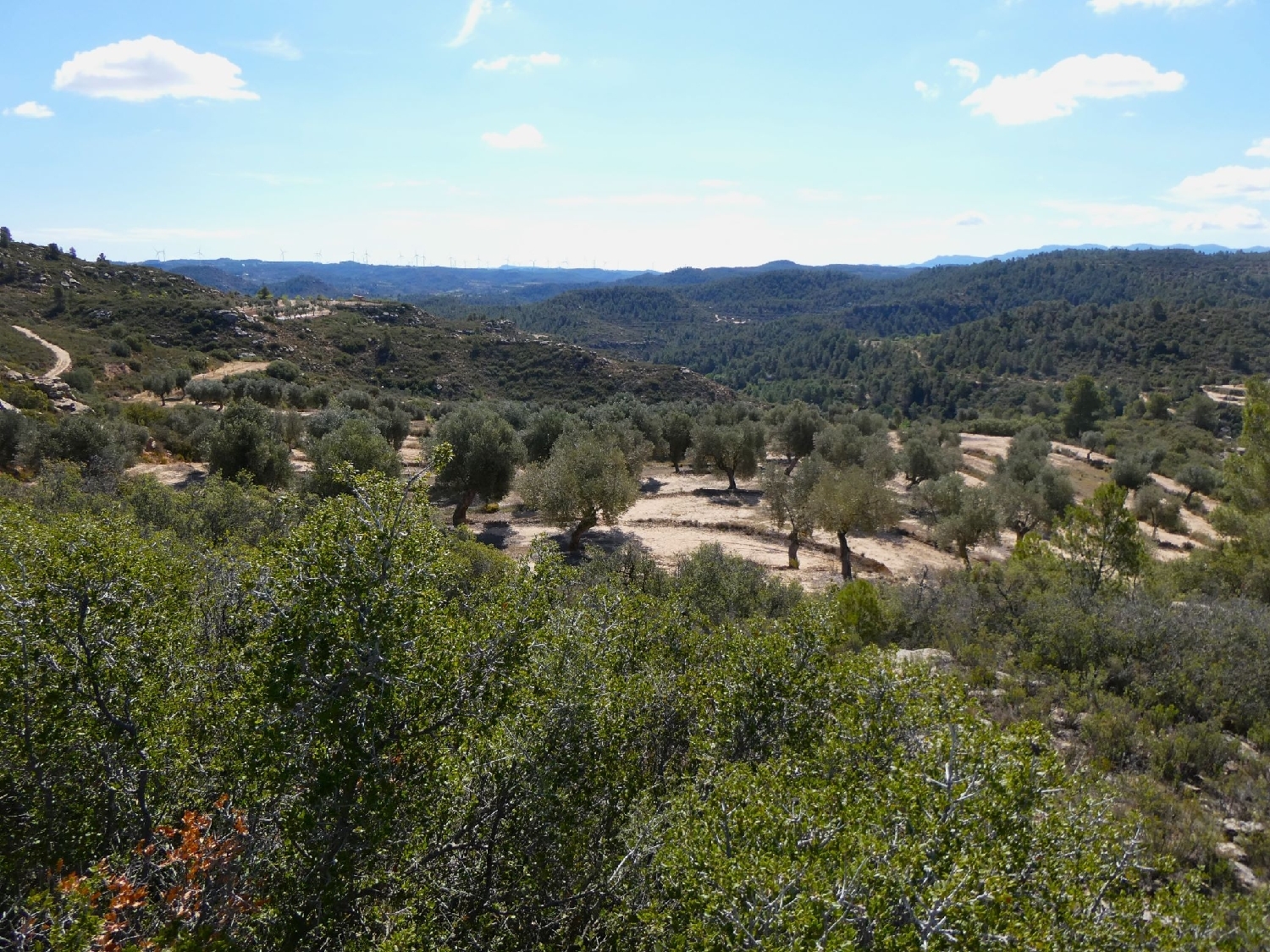  à vendre maison de campagne Calaceite Matarraña 7
