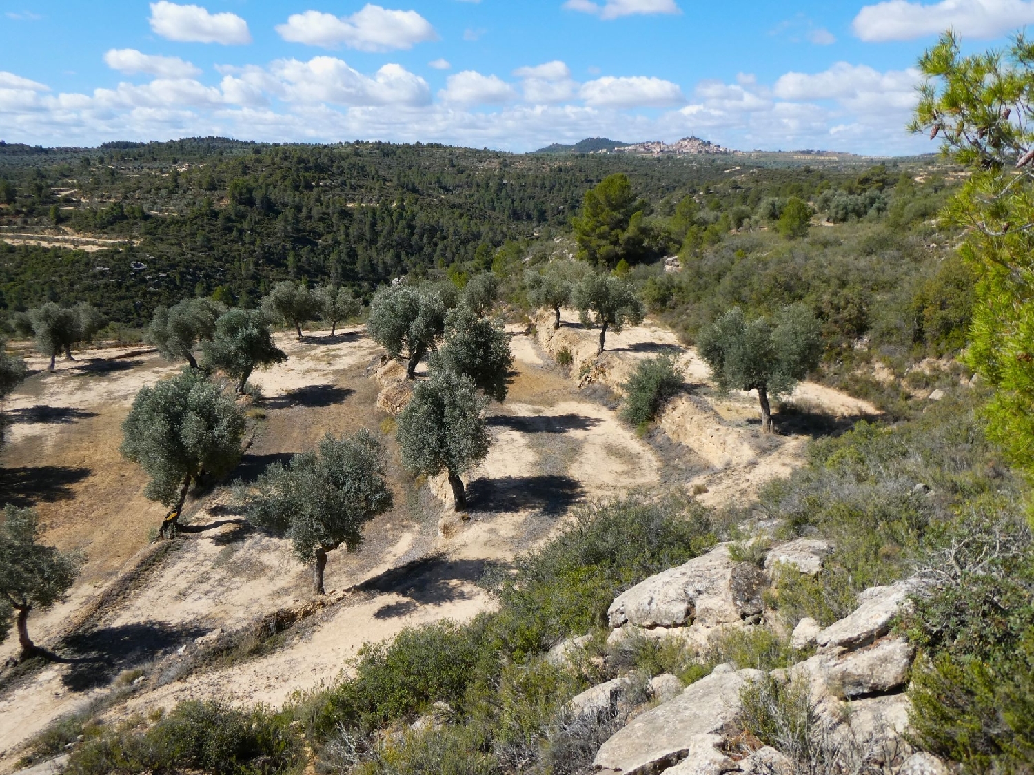  à vendre maison de campagne Calaceite Matarraña 9