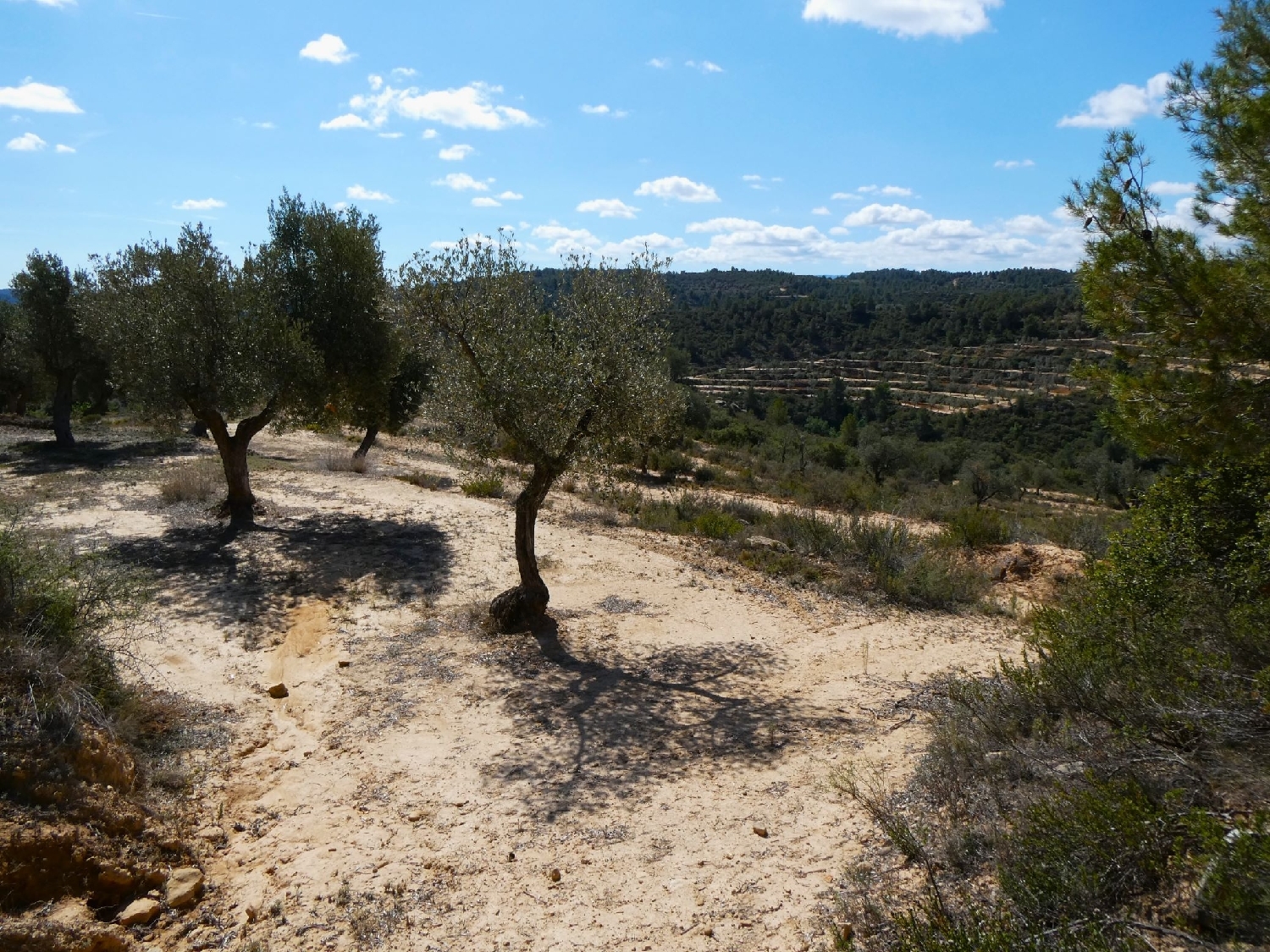 à vendre maison de campagne Calaceite Matarraña 10