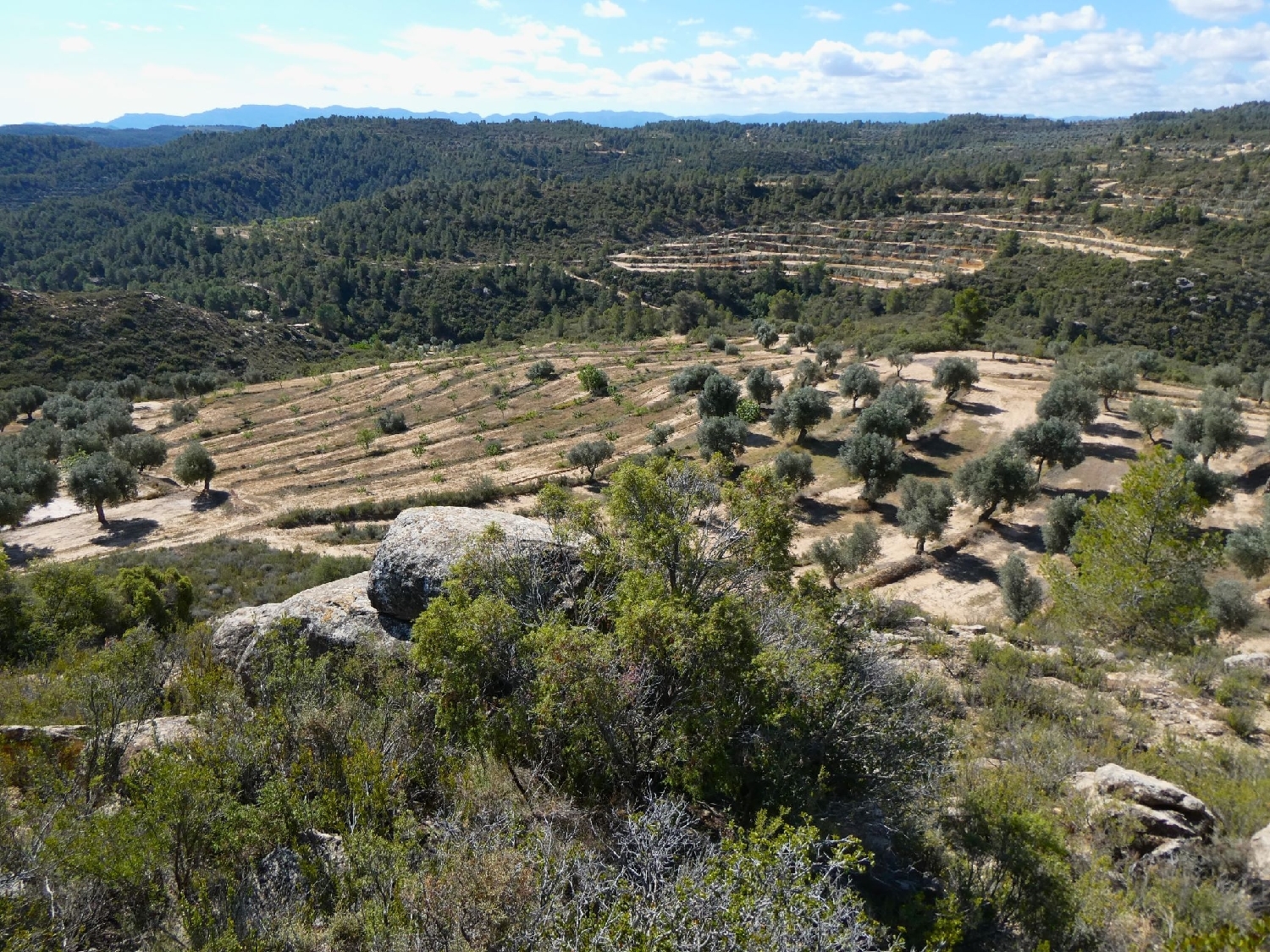  à vendre maison de campagne Calaceite Matarraña 4