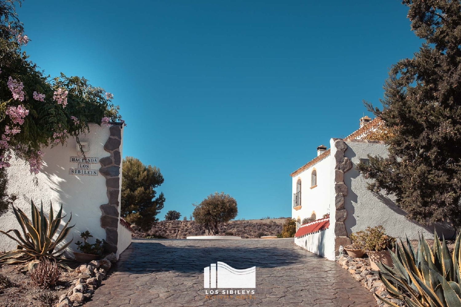  à vendre maison de campagne Cales De Mallorca Llevant 4