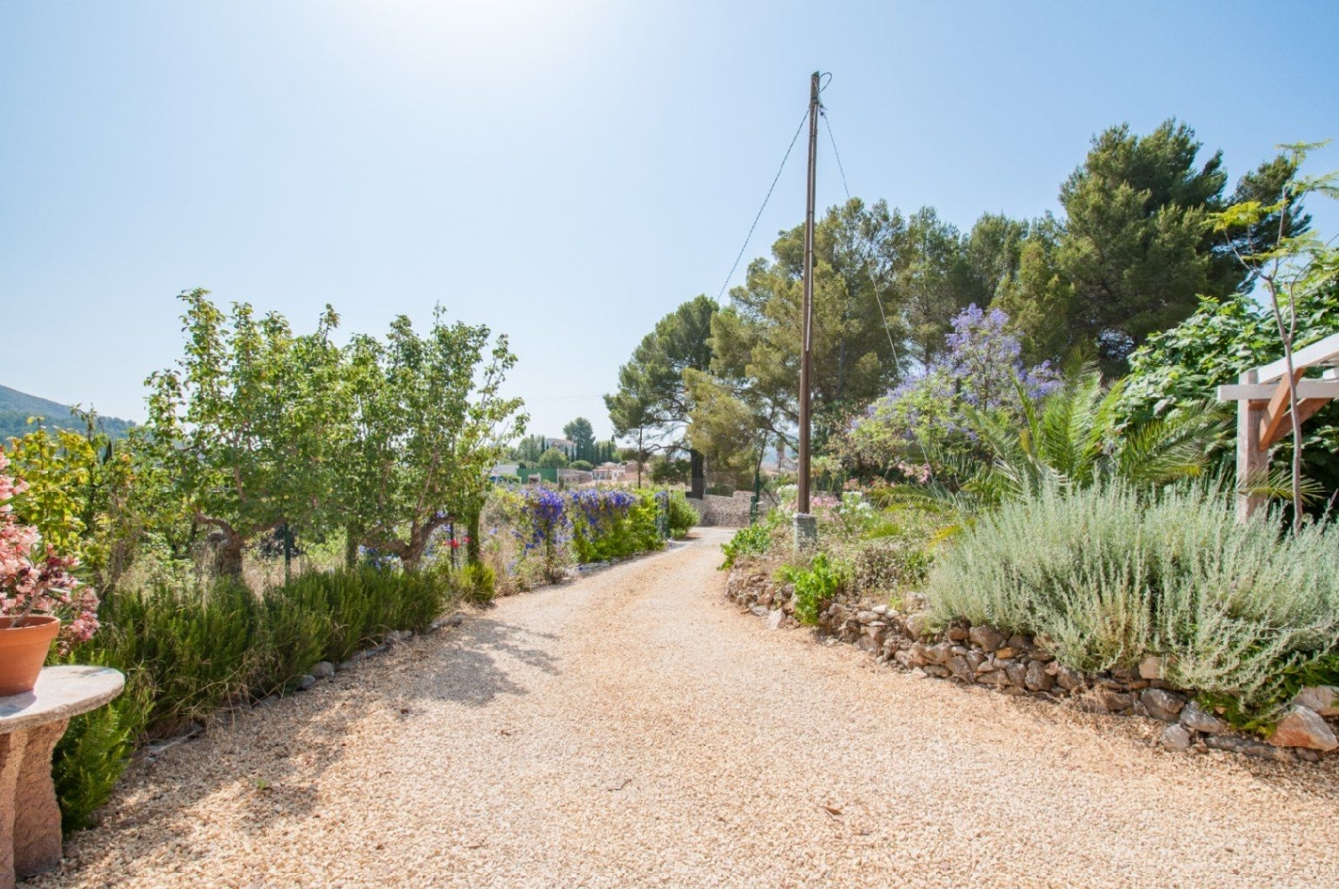  en venta finca rústica Callosa De Segura Baix Segura 4