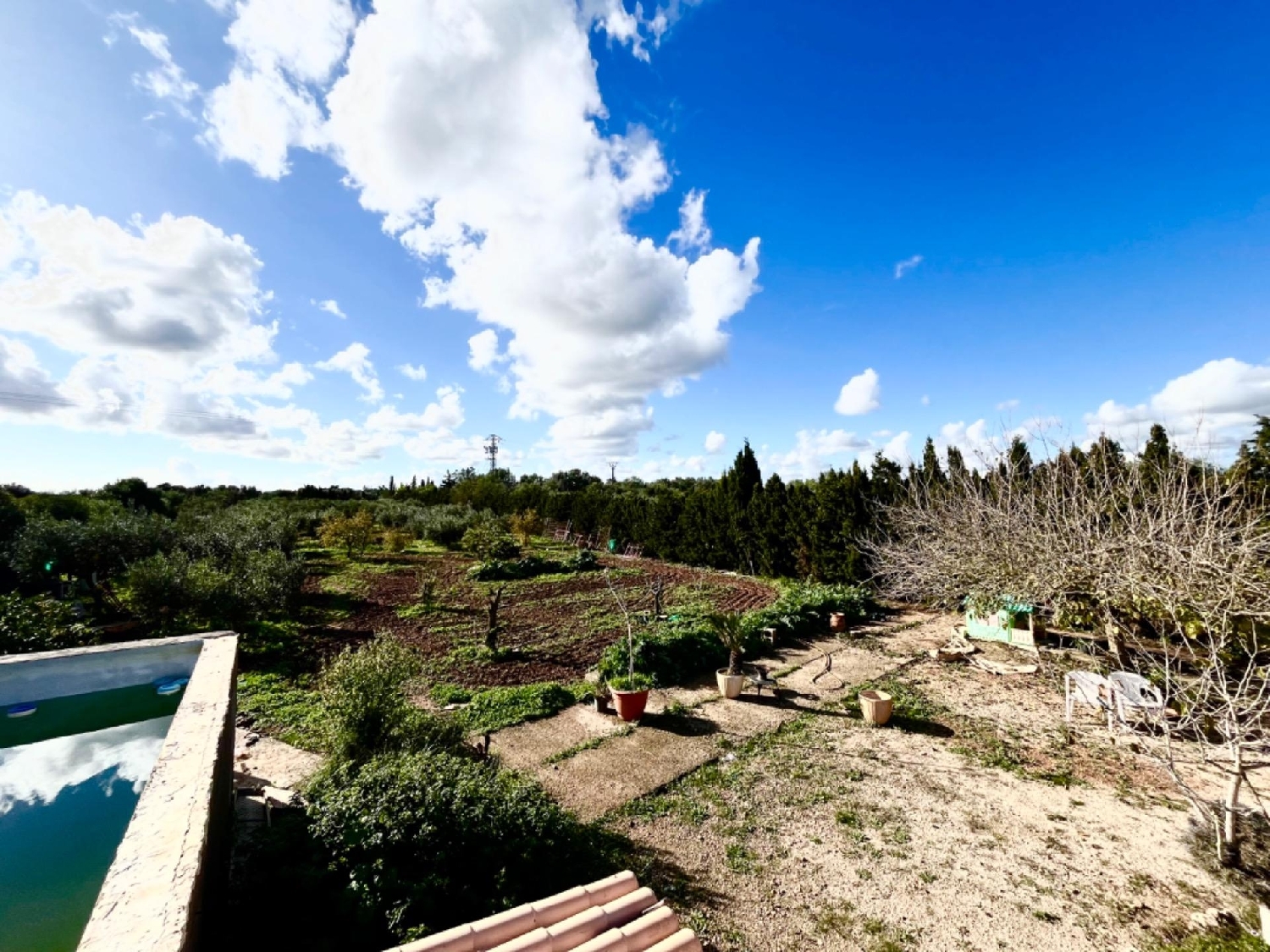 en venta finca rústica Campos Sud 3