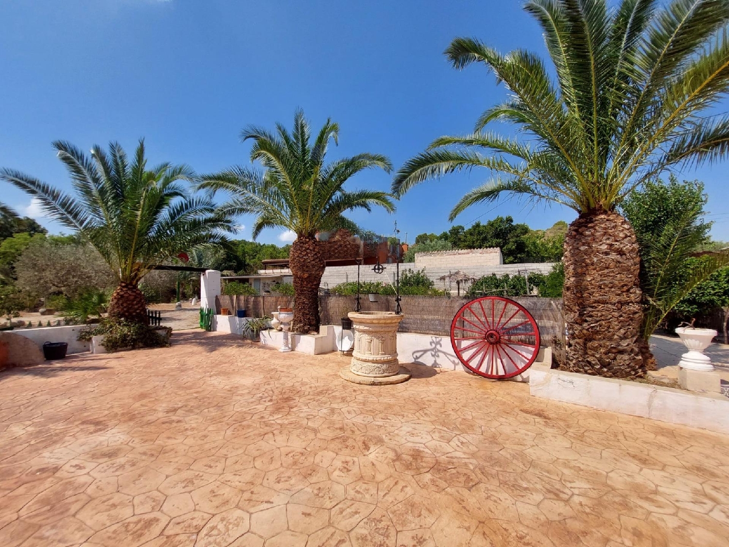  à vendre maison de campagne Cañadas De San Pedro Huerta De Murcia 6