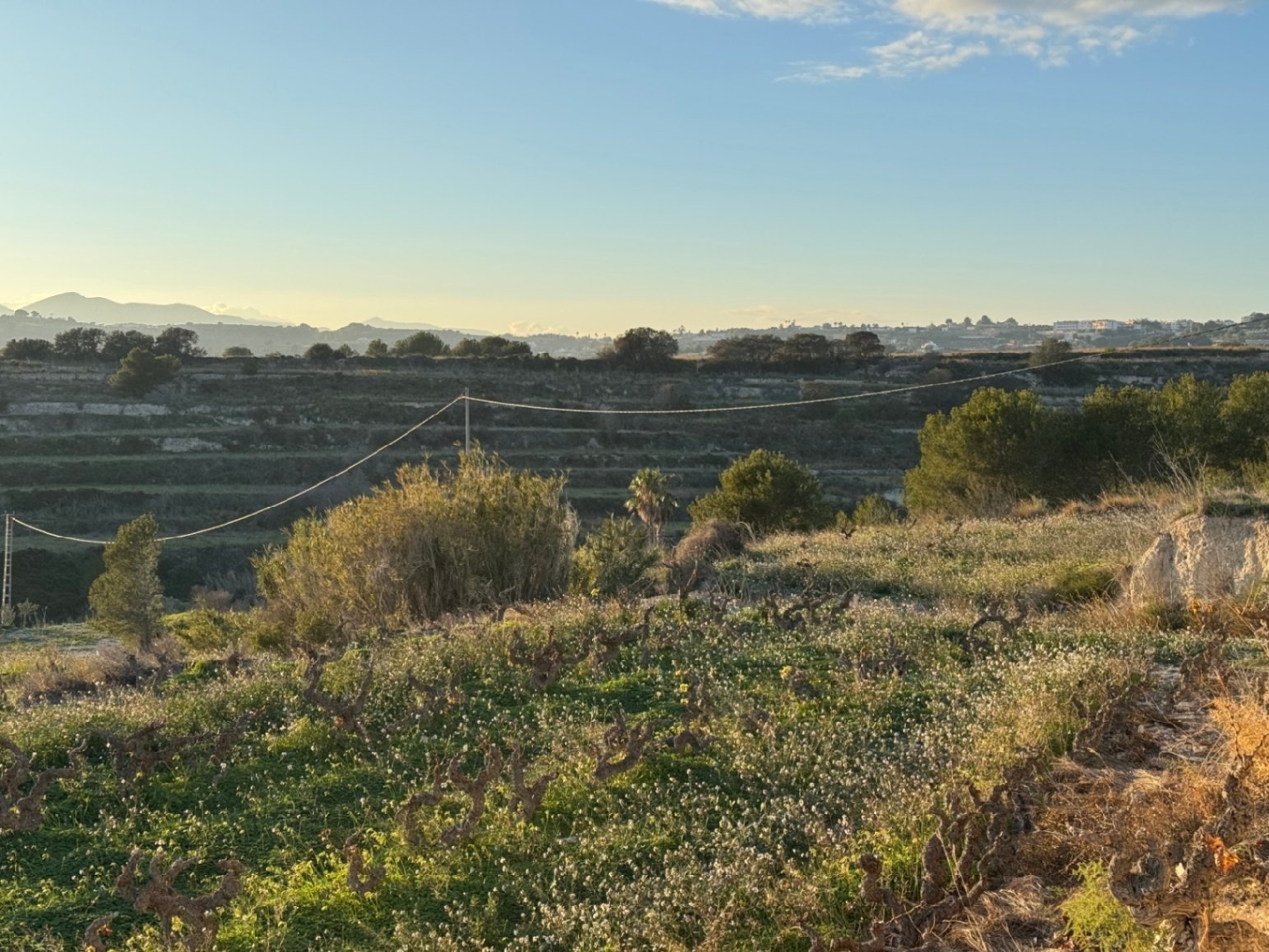  en venta finca rústica Cap Blanc Marina Alta 13