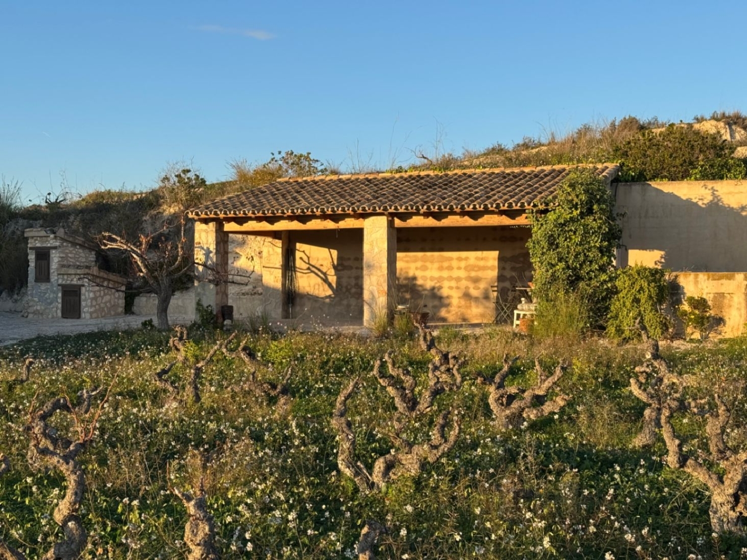  en venta finca rústica Cap Blanc Marina Alta 17