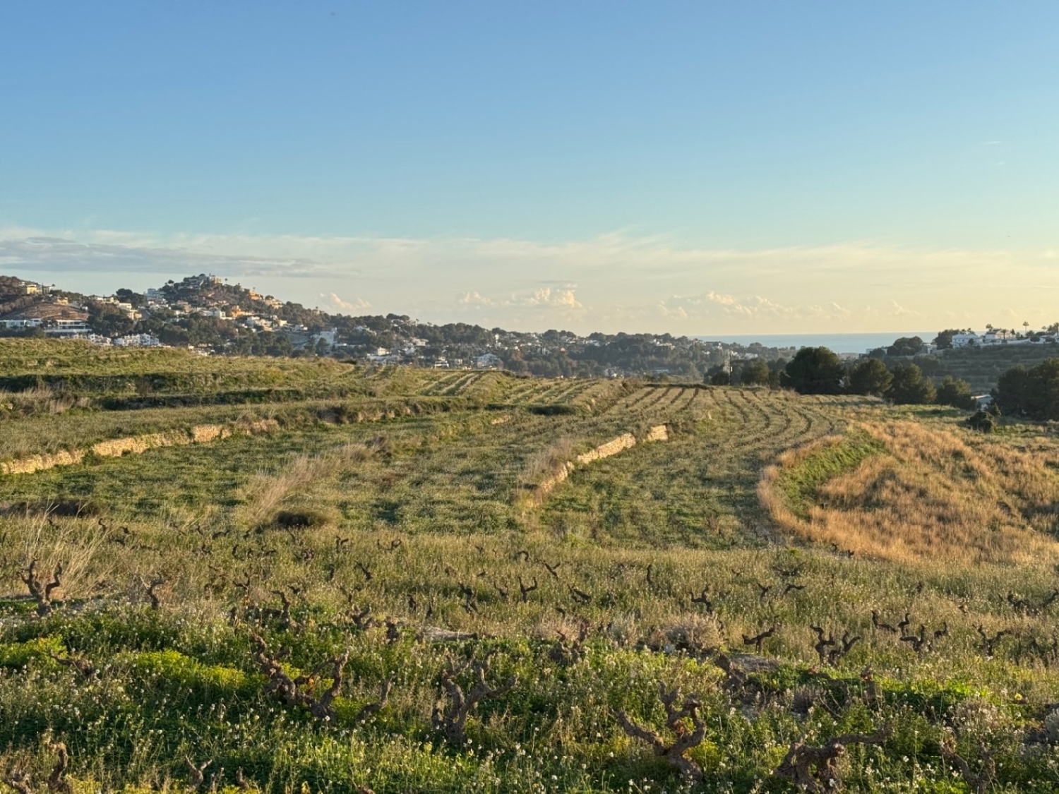  en venta finca rústica Cap Blanc Marina Alta 11
