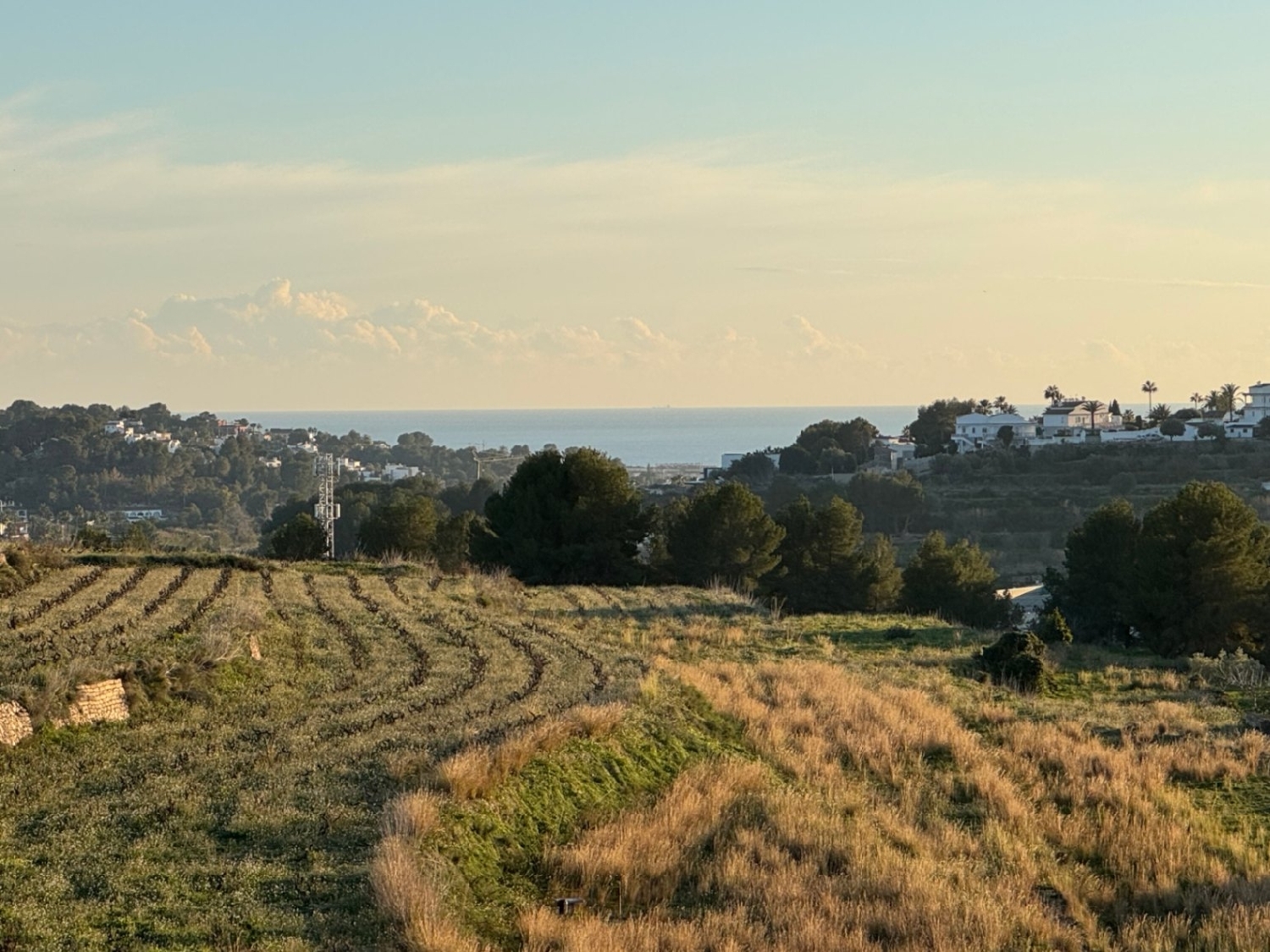  en venta finca rústica Cap Blanc Marina Alta 9