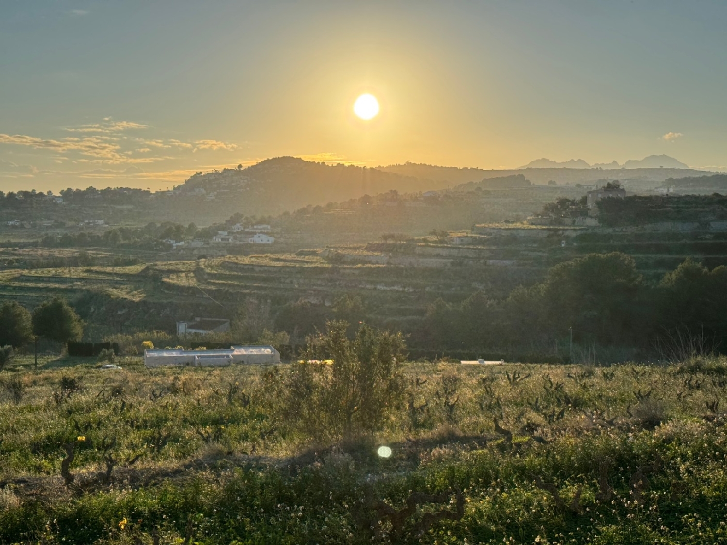 en venta finca rústica Cap Blanc Marina Alta 14