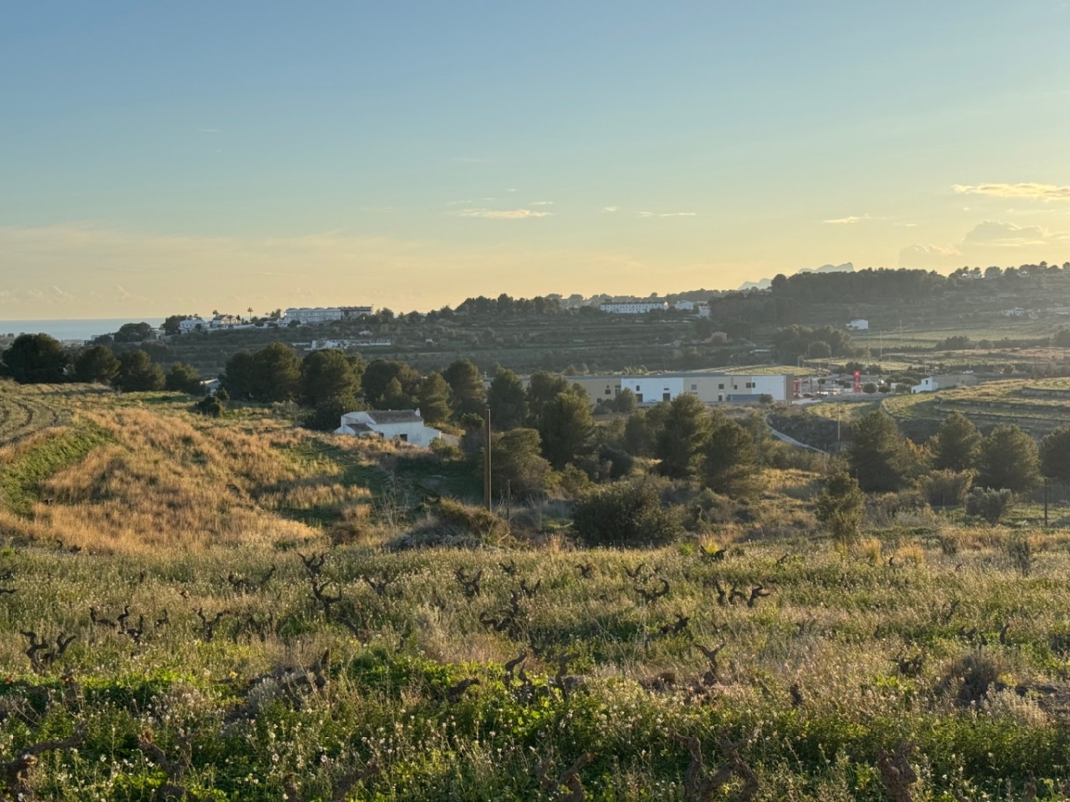  en venta finca rústica Cap Blanc Marina Alta 12