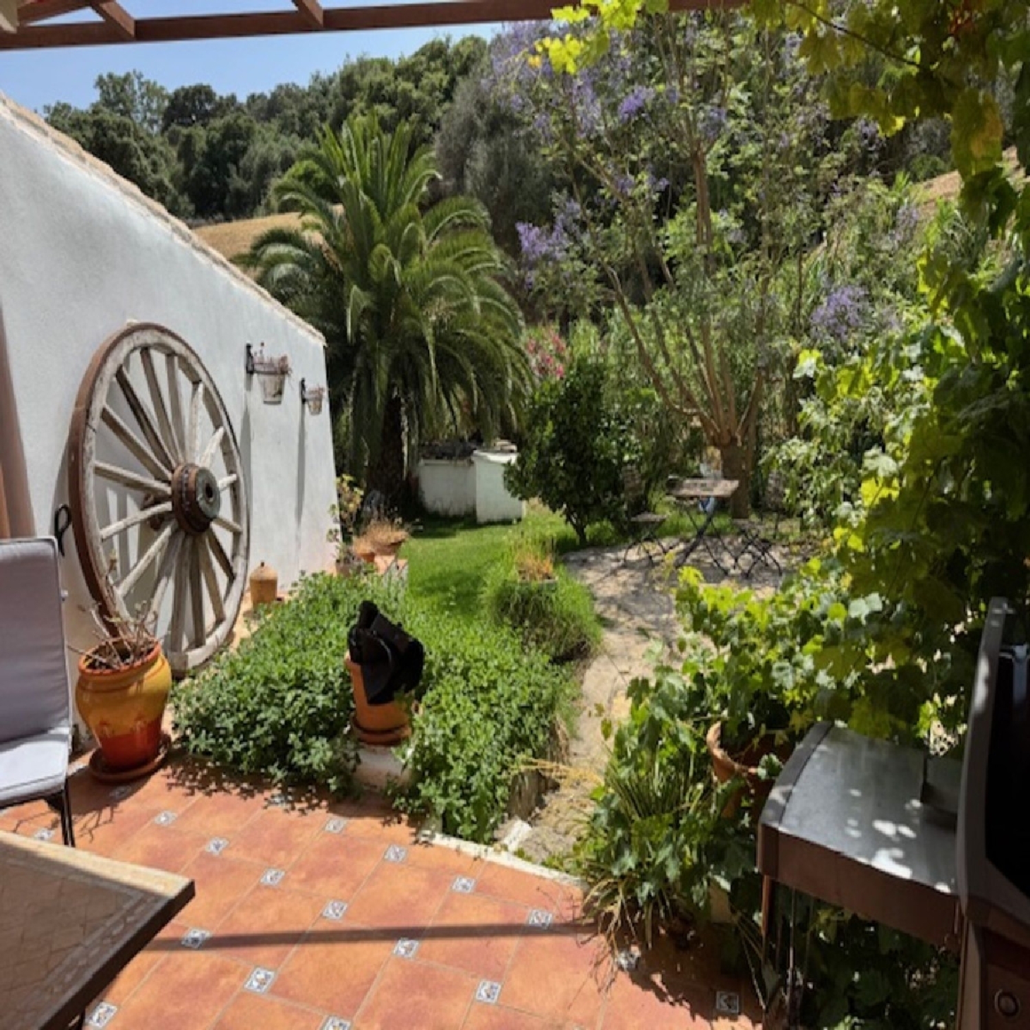  for sale country house Casares Costa Del Sol Occidental 8