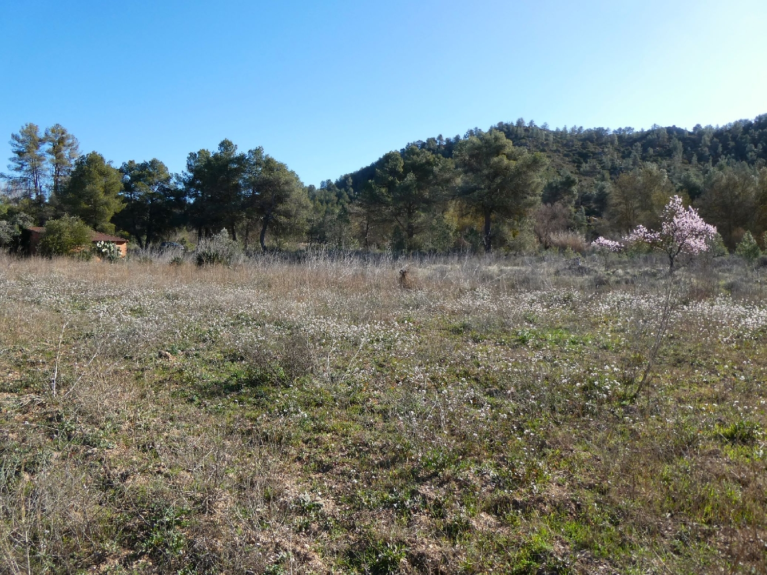  à vendre maison de campagne Caseres Terra Alta 15