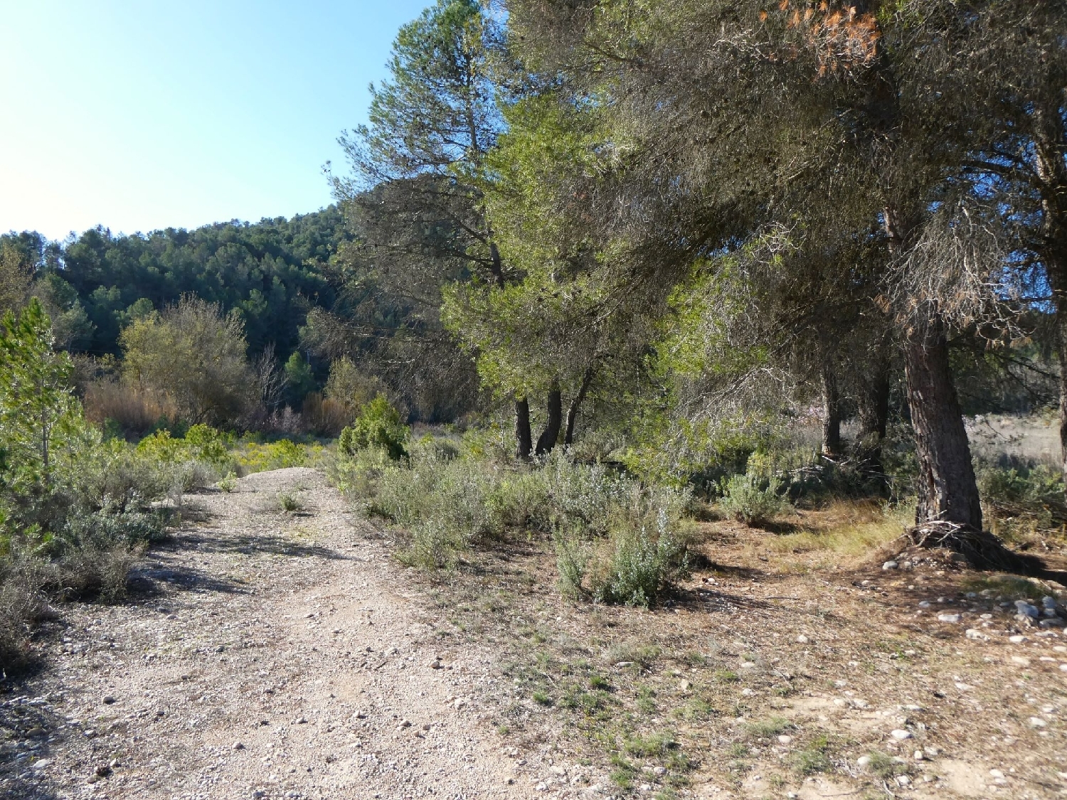  à vendre maison de campagne Caseres Terra Alta 2