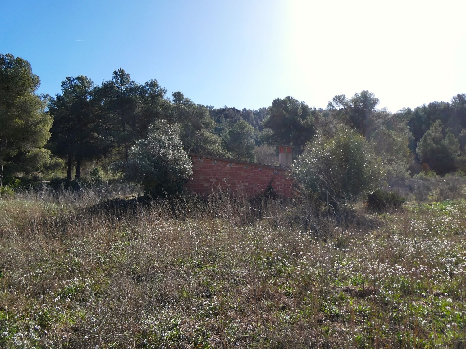  à vendre maison de campagne Caseres Terra Alta 11