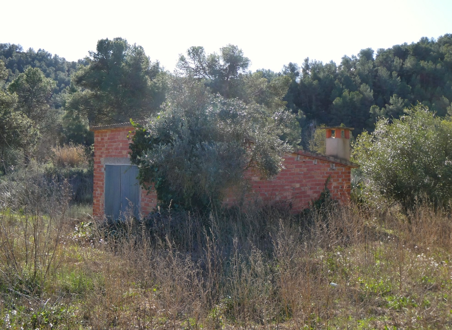  à vendre maison de campagne Caseres Terra Alta 13