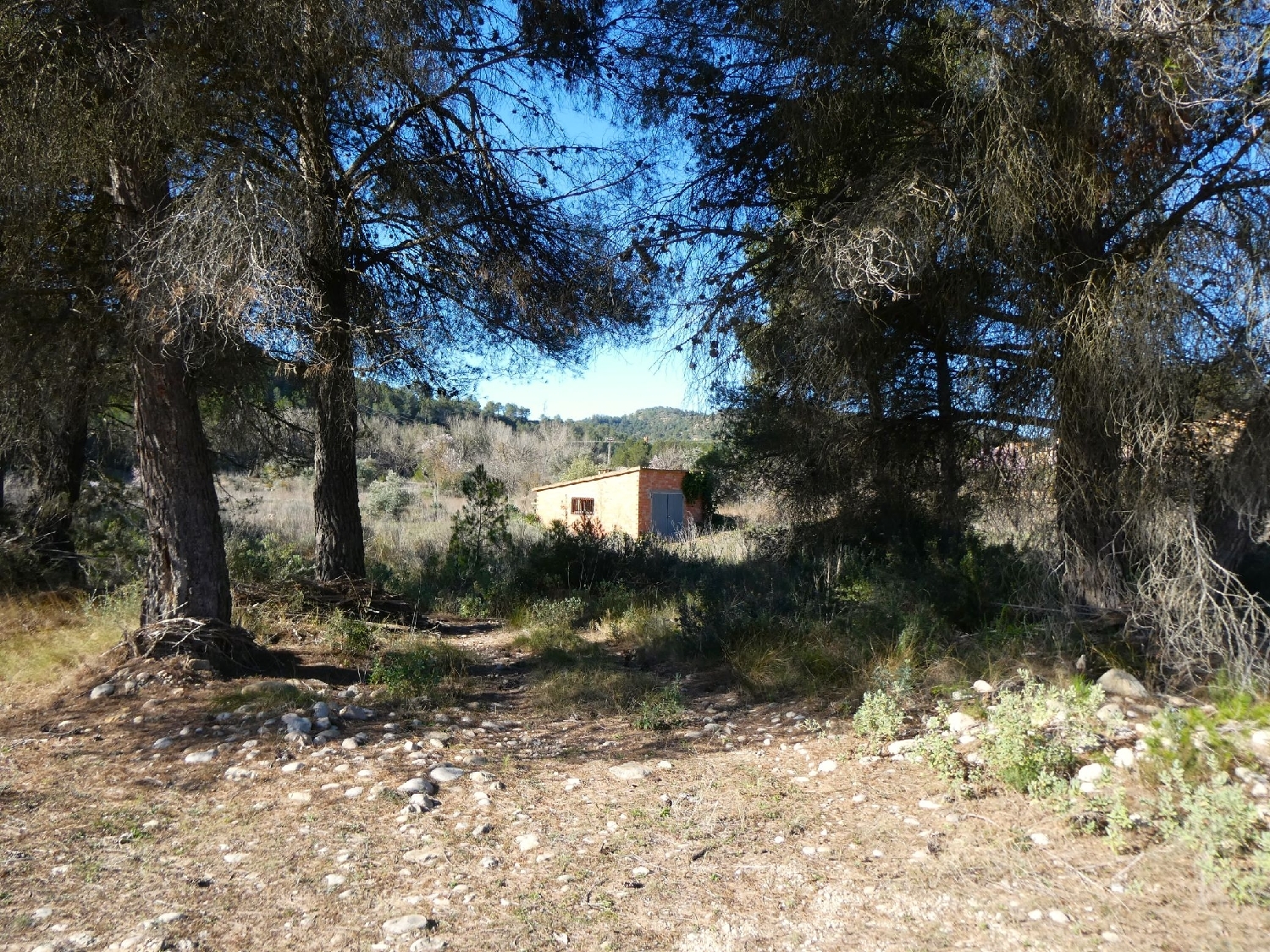  à vendre maison de campagne Caseres Terra Alta 3