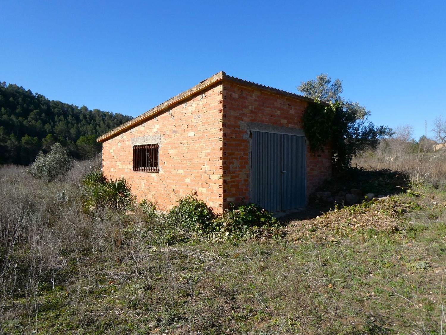  à vendre maison de campagne Caseres Terra Alta 4