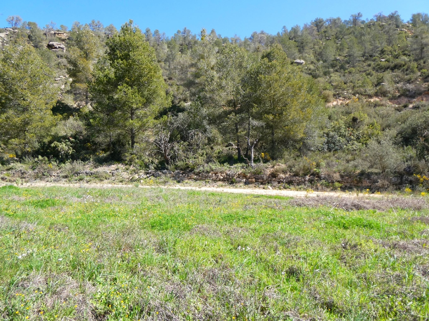  à vendre maison de campagne Caseres Terra Alta 7